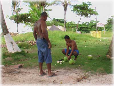 site de rencontre cocotier